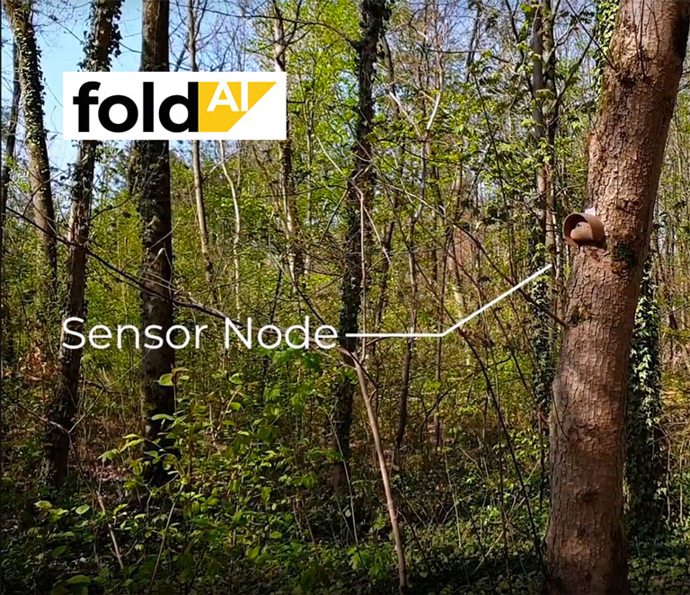 foldAI-Sensor_Forest